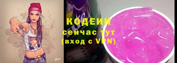 первитин Дмитриев