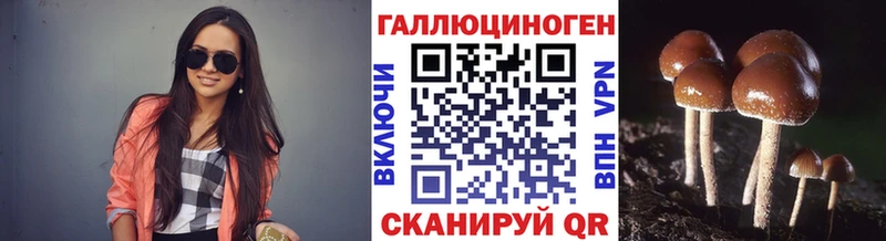 Купить  Кондопога  Псилоцибиновые грибы Cubensis 